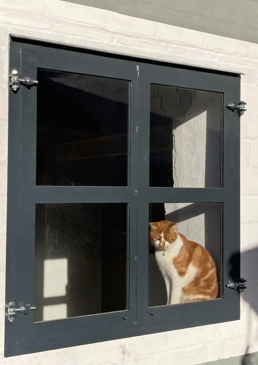 Blick durch ein Stallfenster