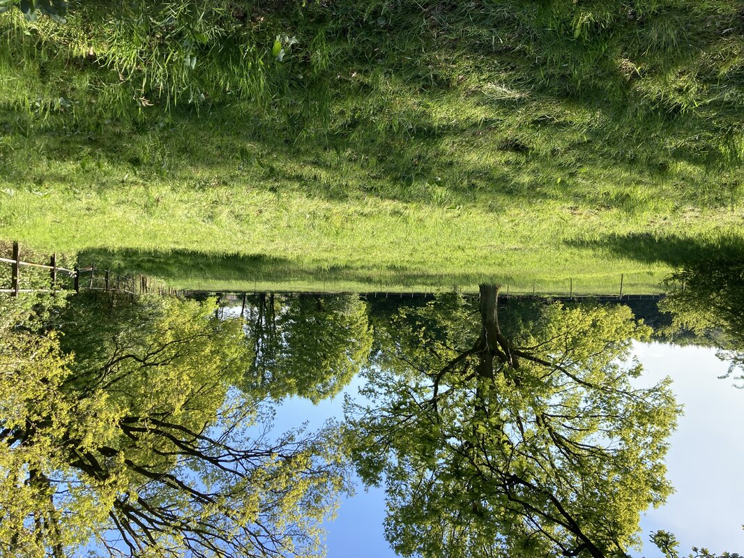 Grüne Weide in Negernbötel